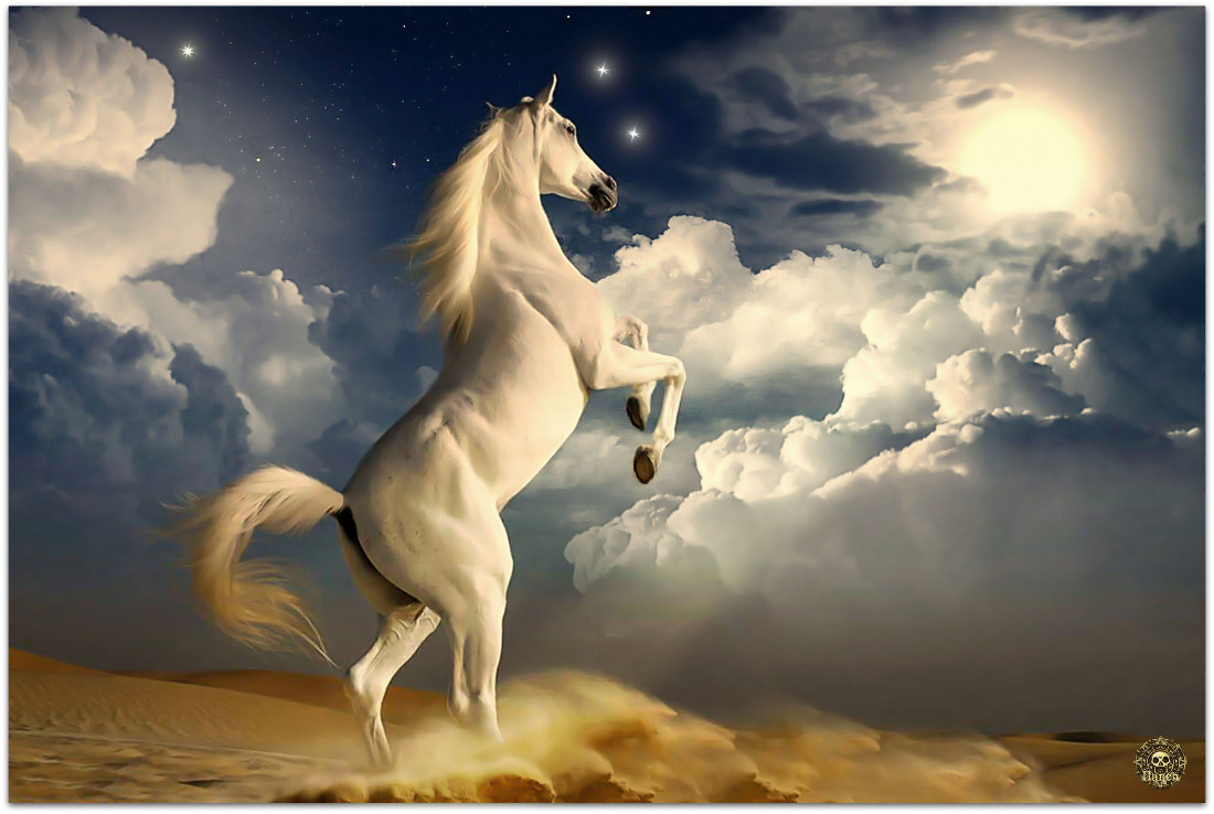 Белая лошадь в облаках скачать