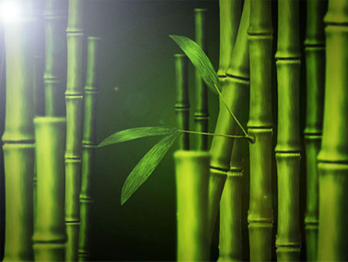 Бамбук без смс